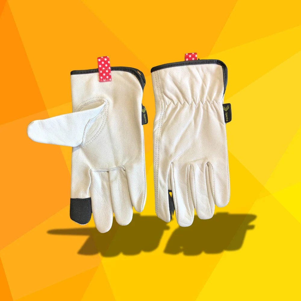 The Women's Rosie - Spectra Gloves